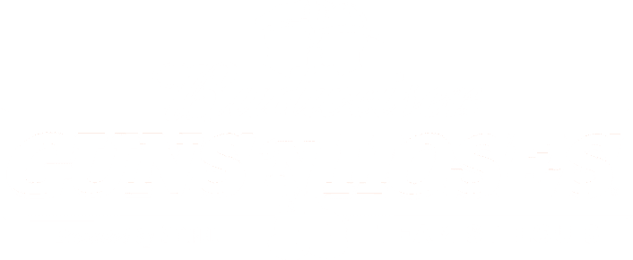 Guns N Hoses Logo White